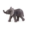 Mojo Elephant African elephant playing