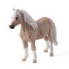 Mojo Welsh pony