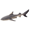 Mojo Blacktip Shark