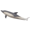 Mojo Dolphin