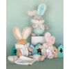 Doudou Bunny toy with rattle and pacifier holder 21 cm