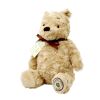 Rainbow Plush Winnie the Pooh from the Hundred Acre Wood