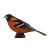 Mojo Northern Oriole