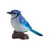 Mojo Blue Jay