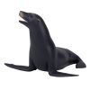 Mojo California sea lion