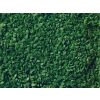 Noch Leaves Medium Green