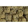 Noch Decorative Moss Grey 35 g
