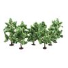 Noch Deciduous Trees Set of 8