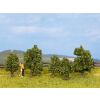 Noch Bush set of 5 pcs
