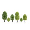 Noch Deciduous tree set of 25 pcs