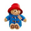 Rainbow Plush Paddington Large