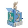 Rainbow Rabbit Peter in magic box