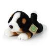 Rappa Plush Bernese Mountain Dog lying 20 cm ECO-FRIENDLY