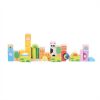 Bigjigs Baby Colorful Safari Cubes
