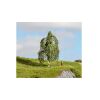 Noch Silver Birch