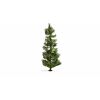 Noch Spruce