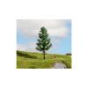 Noch Spruce tall trunk