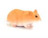 Mojo Hamster