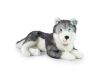Rappa Plush husky dog lying 60 cm ECO-FRIENDLY