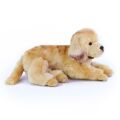 Rappa Golden Retriever plush dog lying 32 cm ECO-FRIENDLY
