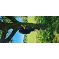 2Kids Toys Tree Climbing Handles with Straps 12 pcs