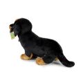 Rappa Plush dog dachshund 32 cm ECO-FRIENDLY