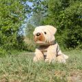 Rappa Plush dog sharpei 30 cm ECO-FRIENDLY