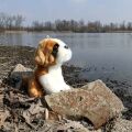Rappa Stuffed dog St. Bernard 20 cm ECO-FRIENDLY