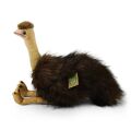 Rappa Plush bird Emu 28 cm ECO-FRIENDLY