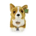 Rappa Plush dog corgi 32 cm ECO-FRIENDLY
