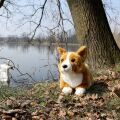 Rappa Plush dog corgi 32 cm ECO-FRIENDLY