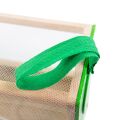 Bigjigs Toys Insect net box