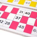 Bigjigs Toys Traditional Bingo