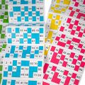 Bigjigs Toys Traditional Bingo