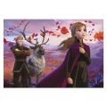Dino Puzzle Frozen II expectations 2x77 pieces