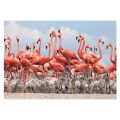 Dino Puzzle Flamingos 500 pieces