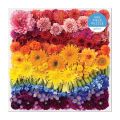 Galison Puzzle Rainbow Flowers 500 pieces