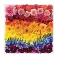 Galison Puzzle Rainbow Flowers 500 pieces