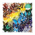 Galison Puzzle Rainbow Butterflies 500 pieces