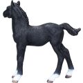 Mojo Hanoverian black colt