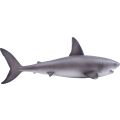 Mojo White Shark