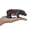 Mojo Hippo female