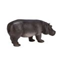 Mojo Hippo female
