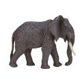 Mojo Elephant African