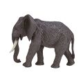Mojo Elephant African