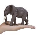 Mojo Elephant African
