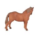 Mojo Suffolk Punch mare