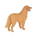 Mojo Golden Retriever
