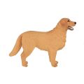 Mojo Golden Retriever