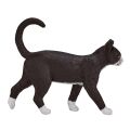 Mojo Cat black and white